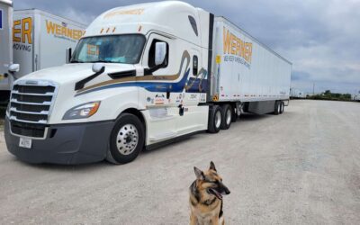 Trucking with a Pet | Top 5 Tips