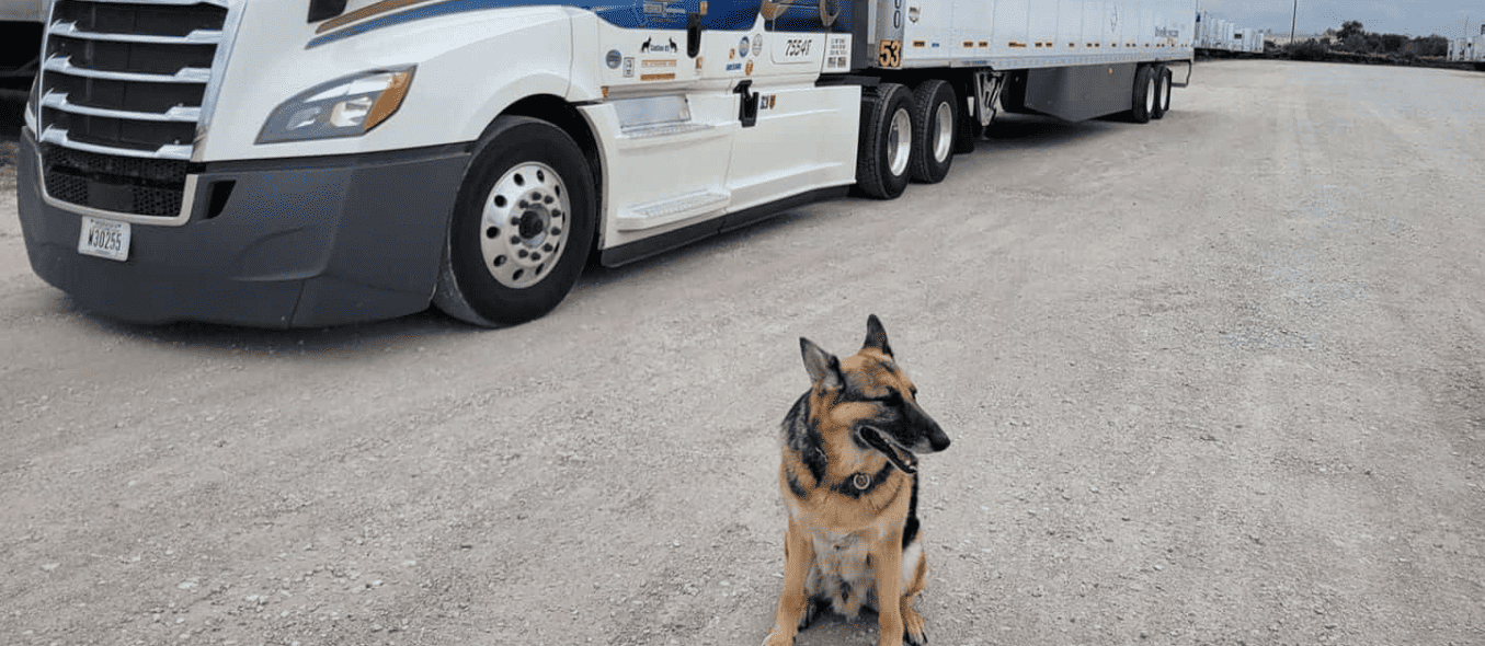 trucking with pets