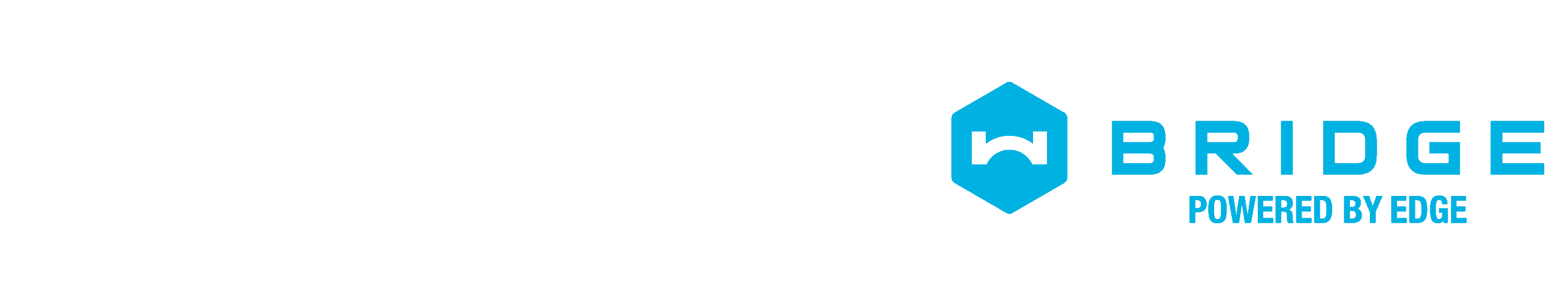 WernerBridge_Horizontal_tag_4c_FNL carriers-edge-image