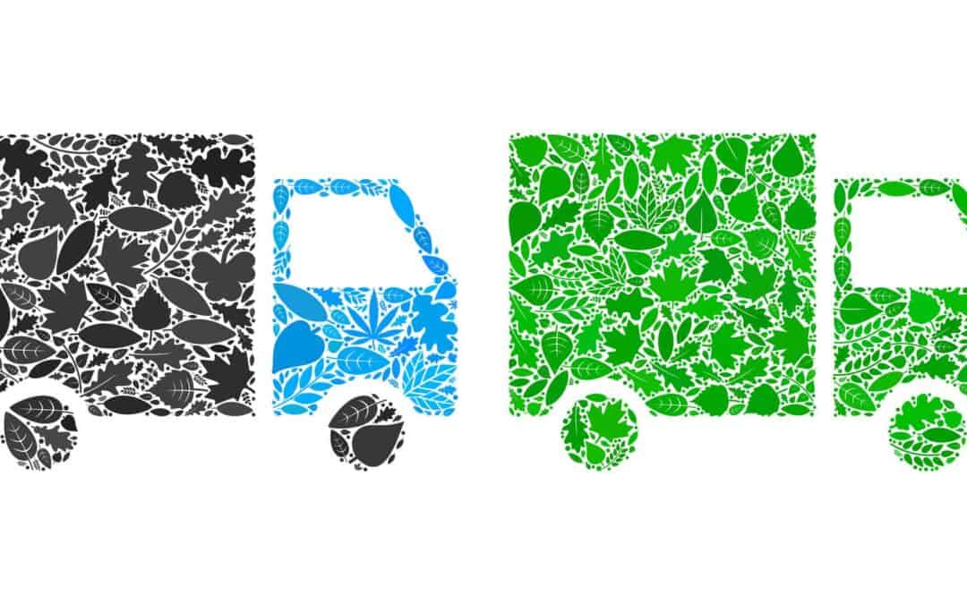 Cold-chain Management: No Matter the Season, We Deliver for You