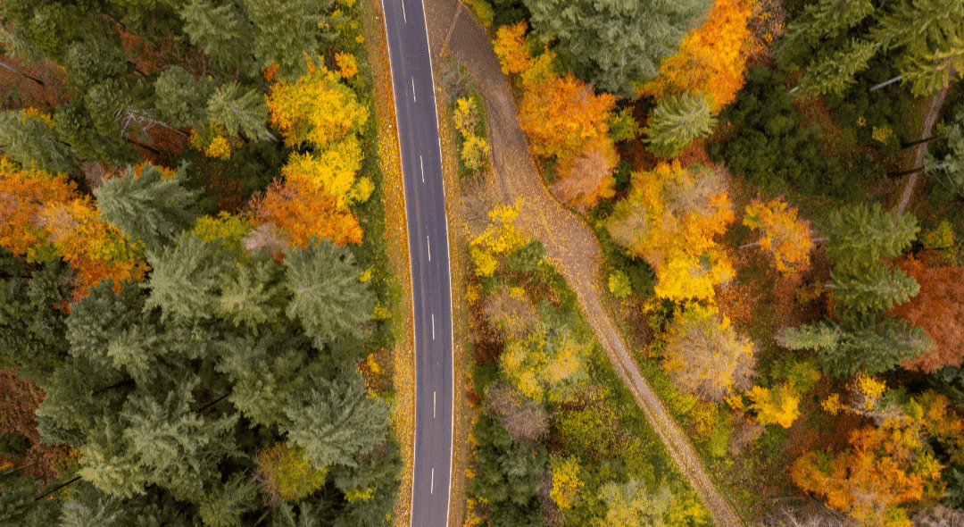 Driving Towards a Sustainable Future