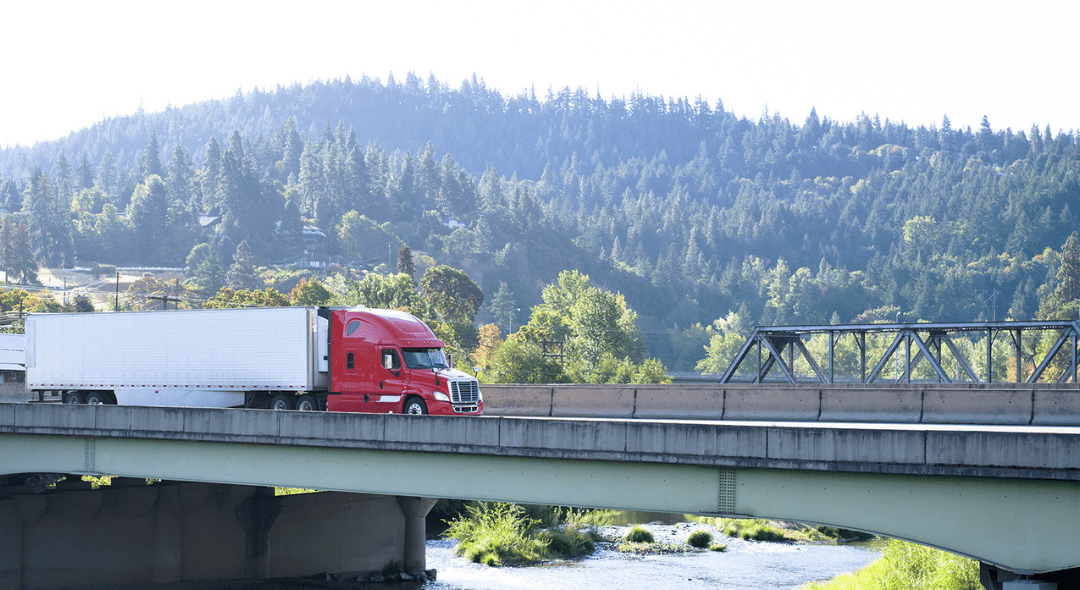 The View from the Bridge