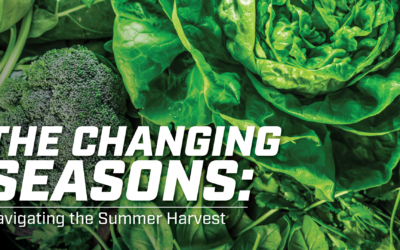 The Changing Seasons: Navigating the Summer Harvest