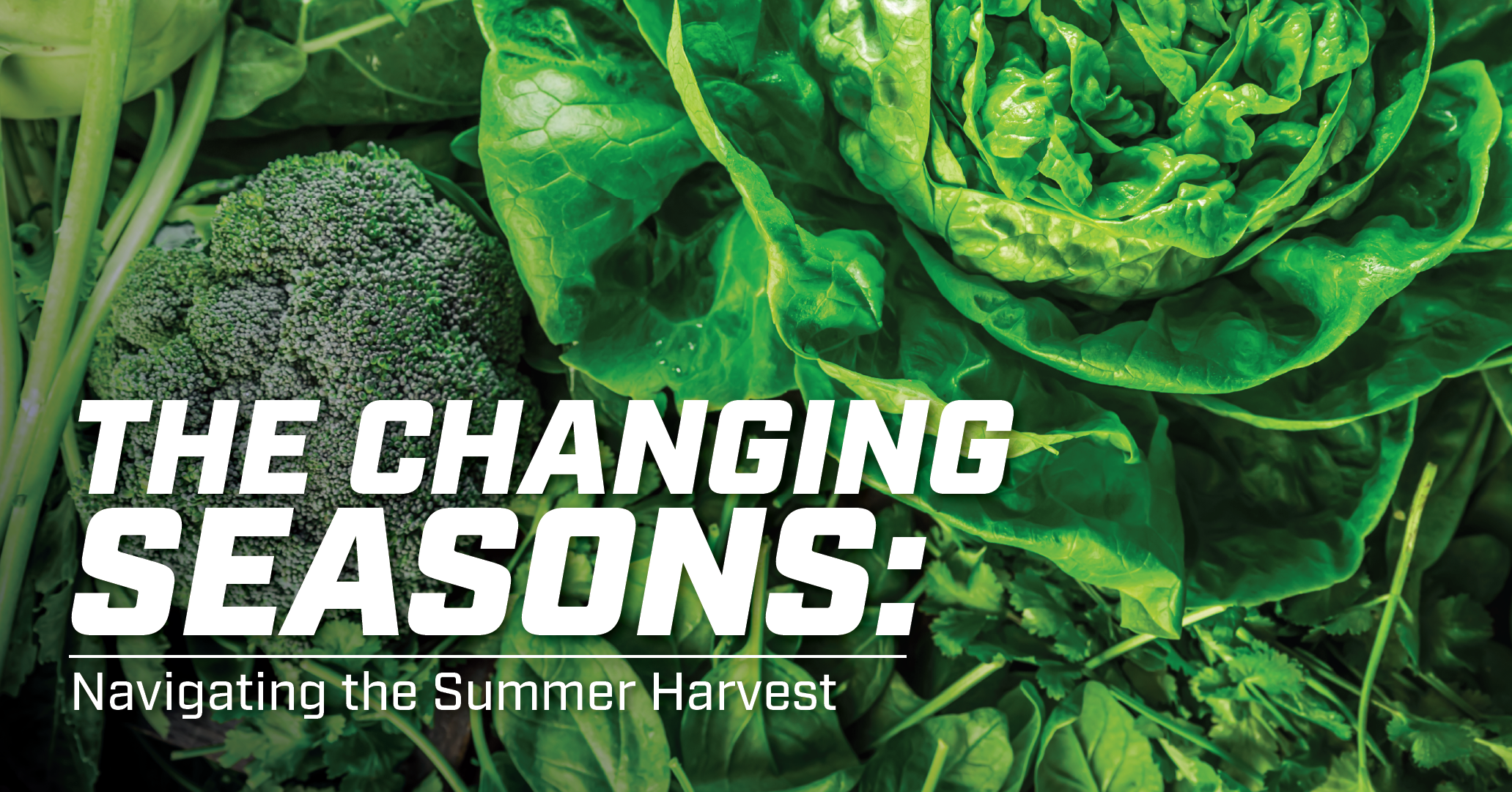 The Changing Seasons
